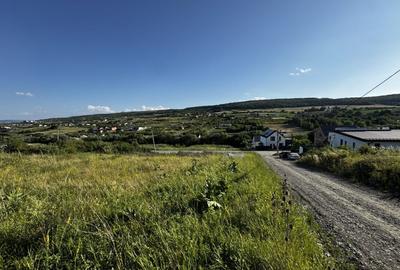 Teren in Chinteni, Muntii Oasului, 1000 mp, front de 36 ml - 3