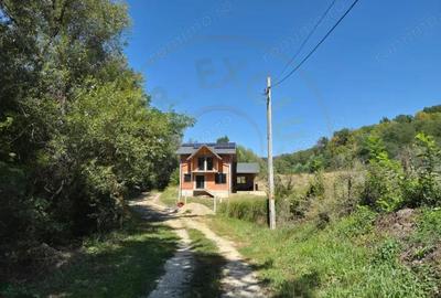 Casa P+1, Babana-Arges cu panouri si apa de izvor - 8