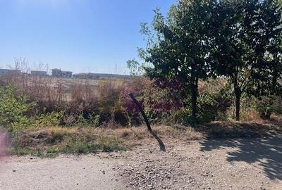 Teren Cornetu Strada Magnoliei- Pinului. - 4