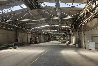 Spatiu Industrial - 5000 mp - Productie - Depozitare - 23
