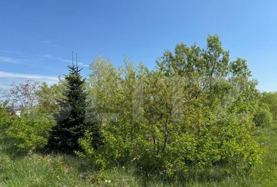 Teren 19000mp , iaz -120mp, Botosanita, Siret - 12