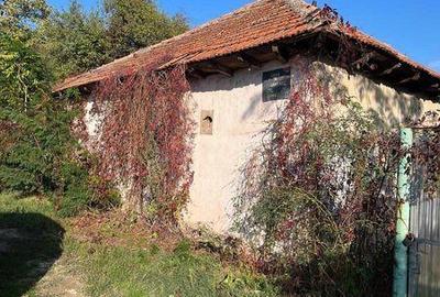Teren de 1239 mp, în Suhaia - 1
