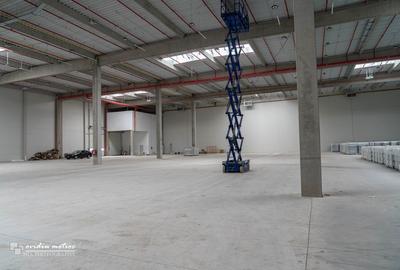 Hala clasa A, acces facil TIR - 4