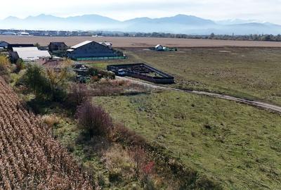 Comision 0% | Teren intravilan 600 mp | SANPETRU - 6