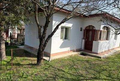 Vand Casa Crivina Jud Giurgiu - 7