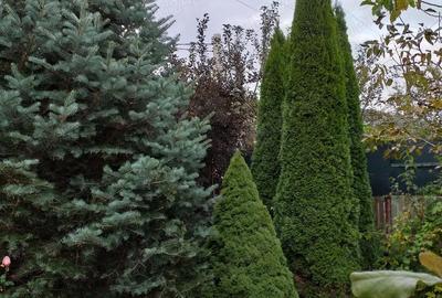 Casă cu 4 camere cu Teren 670 Mp în Moieciu - 5