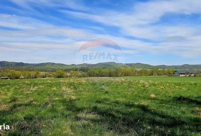 Spațiu comercial, în Mânăstirea Neamț - 1