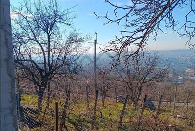 Bucium, Fundac Paun, teren1500mp. intravilan str asfaltata - 6