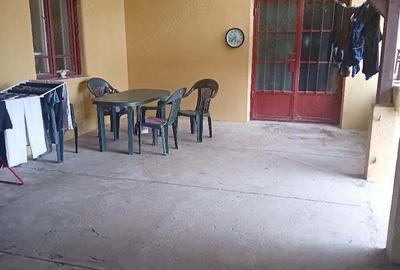 Casa Beregsau Mic caramida strada principala ,teren mare - 6