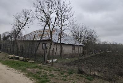 Casă cu 4 camere cu Teren 1700 Mp în Băbăița - 4