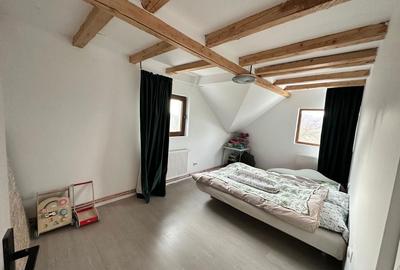 Casă cu 4 camere cu Teren 3000 Mp în Făget - 3