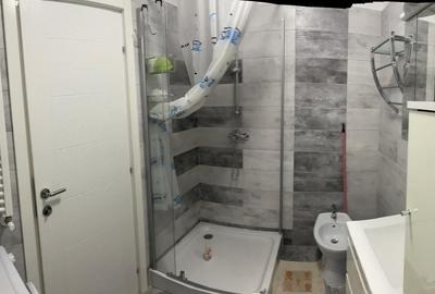 Apartament cu 2 camere decomandat în Valea Moșneagului - 3