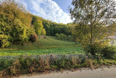 Casă cu 4 camere cu Teren 7000 Mp în Almașu Mare - 1