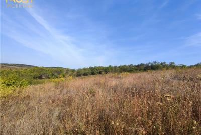 Teren extravilan zona - 9