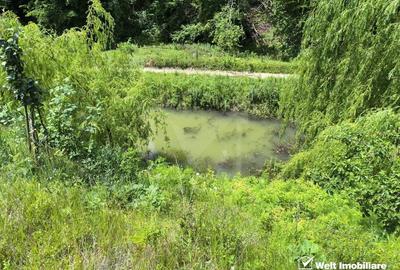 Casa de vacanta, cu lac, 5640 mp teren, Huta, com. Chiuiesti, jud. Cluj Casa de vacanta, cu lac, 5640 mp teren, Huta, com. Chiuiesti, jud. Cluj - 34