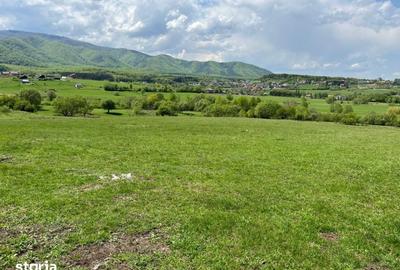 Teren de 600 mp, în Sadu - 4