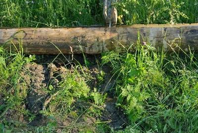 Teren de 25000 mp, în Șaru Dornei - 8
