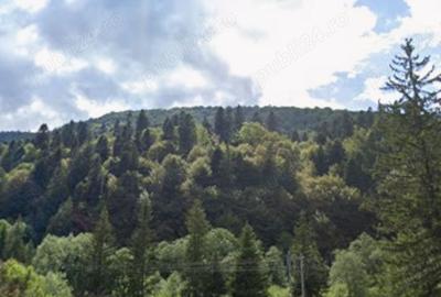 Teren de 890 mp, în Malul Ursului - 3