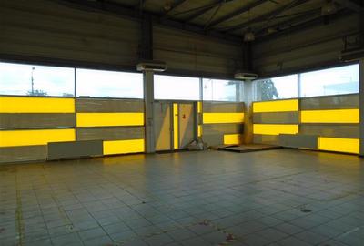 Spațiu comercial, de 285 mp, în Vest - 2