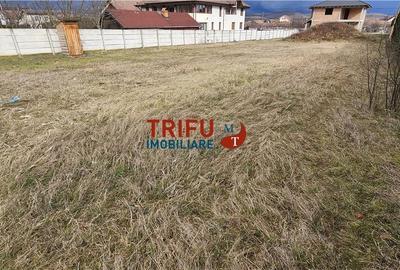 Spațiu comercial, în Micești - 5