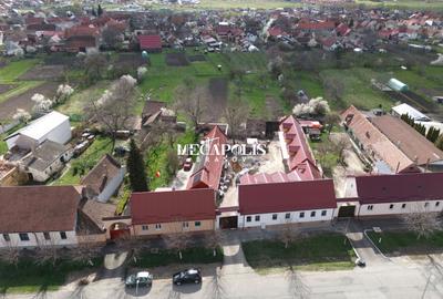 Teren Construcții intravilan de 1440 mp, în Sânpetru - 5