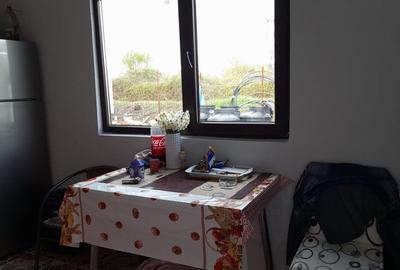 Casa P+M, Bascov, constructie 2016, teren 490mp - 3