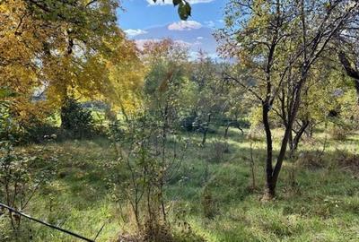 Casă individuală cu 2 camere cu Teren 1449 Mp în Ocna Șugatag - 15