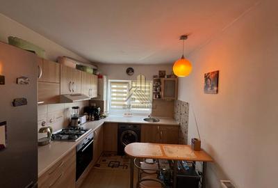 Apartament cu 2 camere, curte privata si pod generos - 7