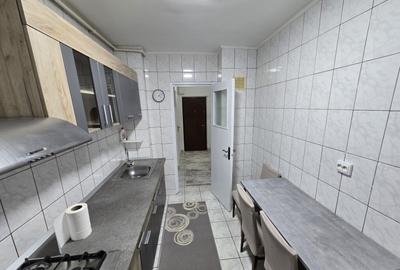 Inchiriere apartament 2 camere zona Gorjului-Pacii - 12