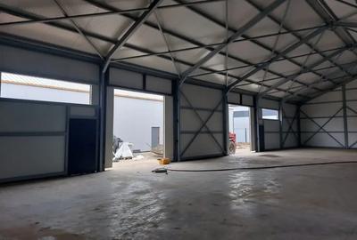 Spațiu industrial, de 400 mp, în Exterior Nord - 6