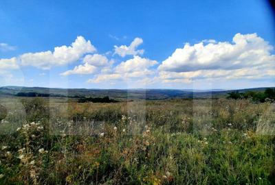 Teren de 5800 mp, în Central - 4