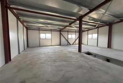 Inchiriere depozit/hala/spatiu industrial Theodor Pallady - Drumul Intre Tarlale - 5