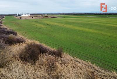 Teren Construcții intravilan de 25000 mp, în Central - 8