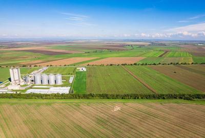 Teren de 104000 mp in Vinga - 7