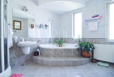 Casă individuală cu 9 camere cu Canalizare în Europa - 10