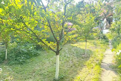 Apartament cu 2 camere semidecomandat în Elisabetin - 9