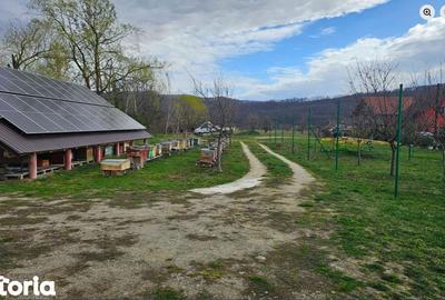Teren de 1862 mp, în Central - 5