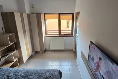 Studio de lux  Sinaia Furnica - 10