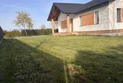 Casă cu 3 camere în Lunca Cetățuii - 1