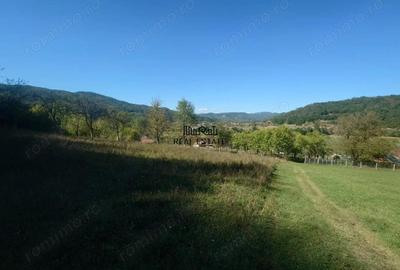 Teren de 56031 mp, în Criș - 3