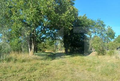 Casă cu 3 camere cu Teren 7600 Mp în Central