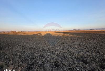 Teren de 30000 mp, în Hălchiu