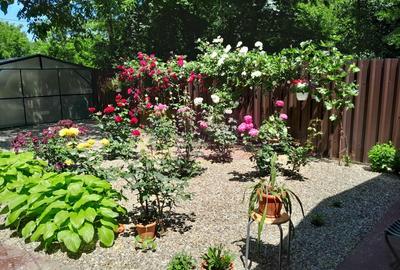 Movilita  (IL) - de vanzare casa 5 cam p+1 - 8