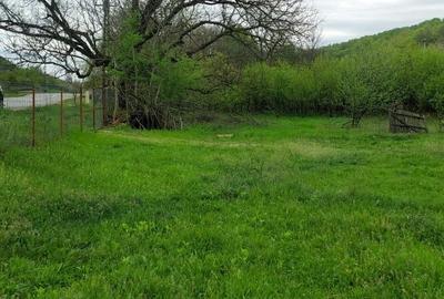 Casă cu 4 camere în Cotmeana - 1