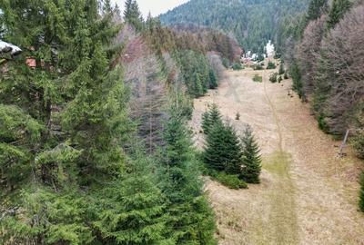 Teren 2000mp intravilan de vanzare in Poiana Brasov! Comision 0%! - 6