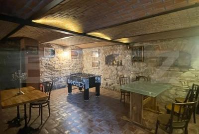 Conac de vanzare 7 camere, baie proprie, crama, ciubar si potential - 11