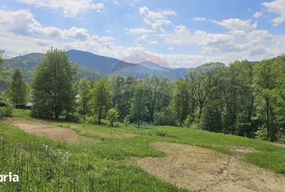 Teren de 2910 mp, în Hangu - 9