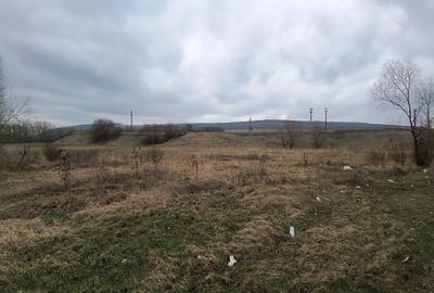 Teren Construcții extravilan de 12400 mp, în Pătrăuți - 2