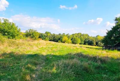 Proprietate la rosu, situata la 15 km de oras - 2