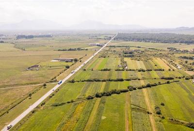 Teren extravilan Lunca Calnicului langa E574 - 14